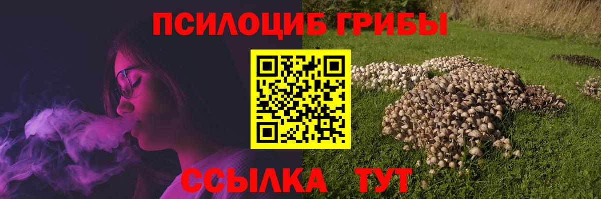 цены наркотик  Галлюциногенные грибы MAGIC MUSHROOMS  Вход с VPN  Губаха 
